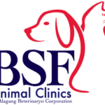 Beterinaryo sa Fort (BSF) Animal Clinic